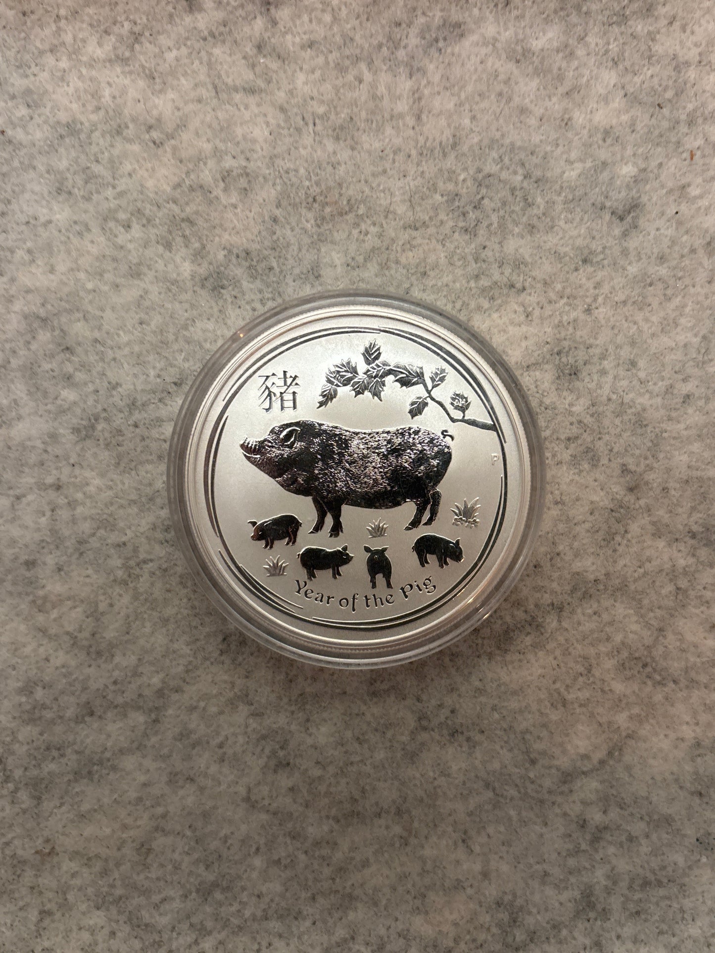 1 oz Year of the Pig Coin In Capsule | .999 Fine Silver | Lunar Series | Bullion